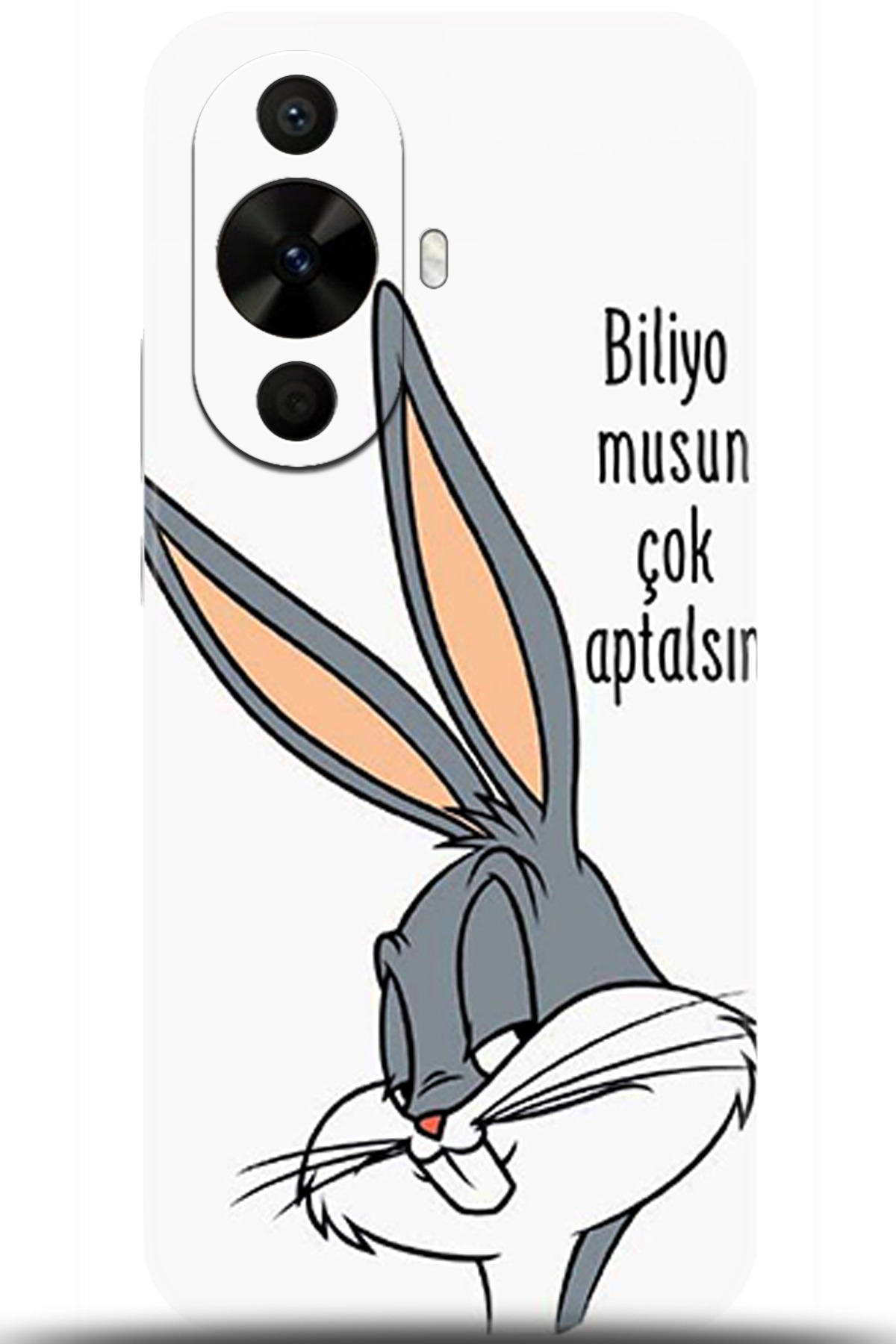 Huawei Nova 12s Uyumlu Kılıf HD Baskılı Kılıf - Followed Institution 5685