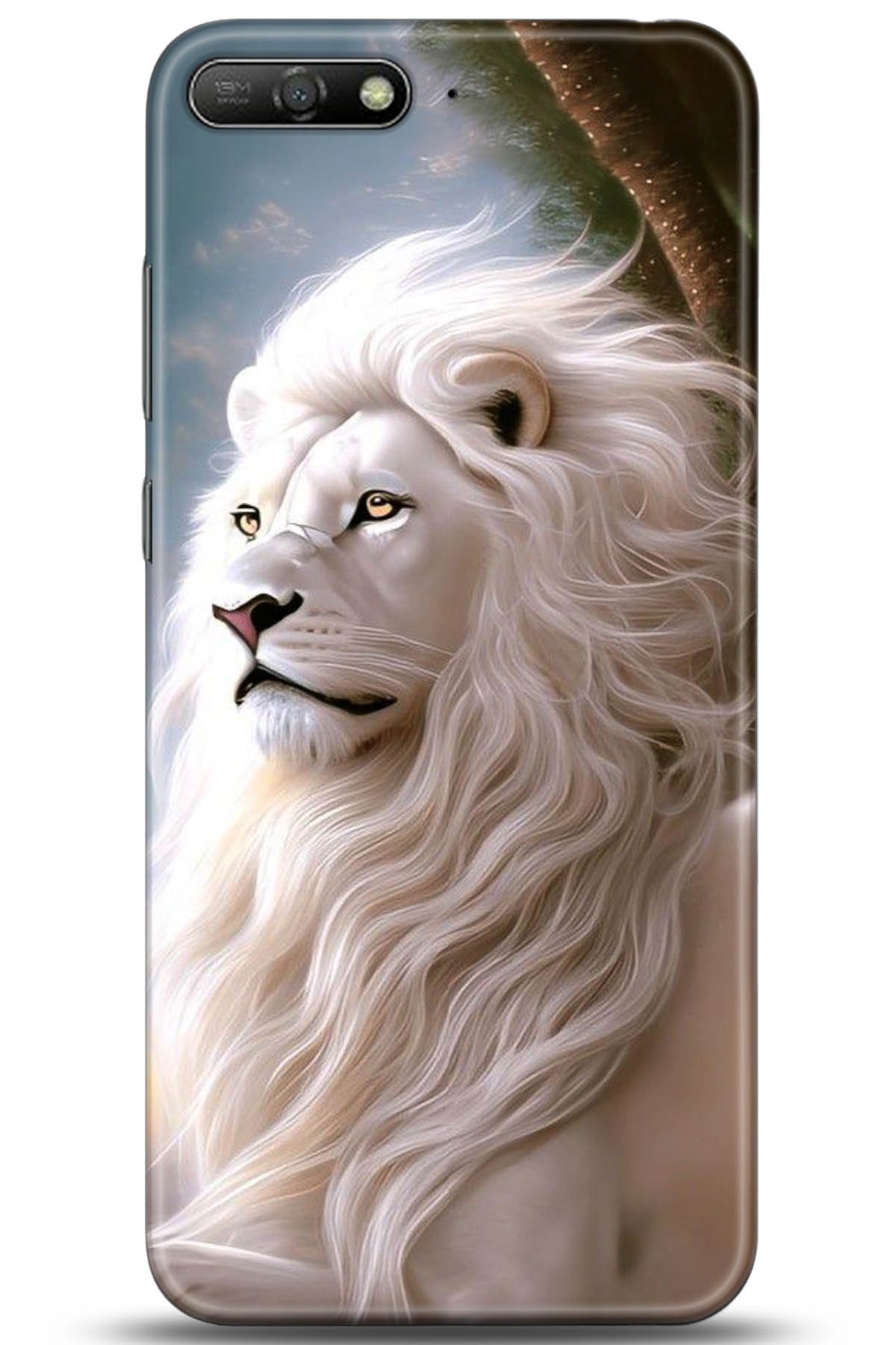 Huawei Y6 2018 Uyumlu Kılıf HD Baskılı Kılıf - Followed Institution 5114