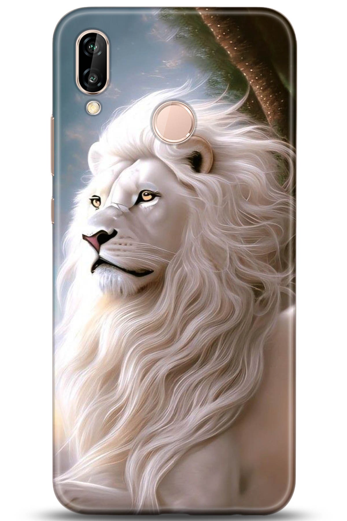 Huawei P20 Lite Uyumlu Kılıf HD Baskılı Kılıf - Followed Institution 5114