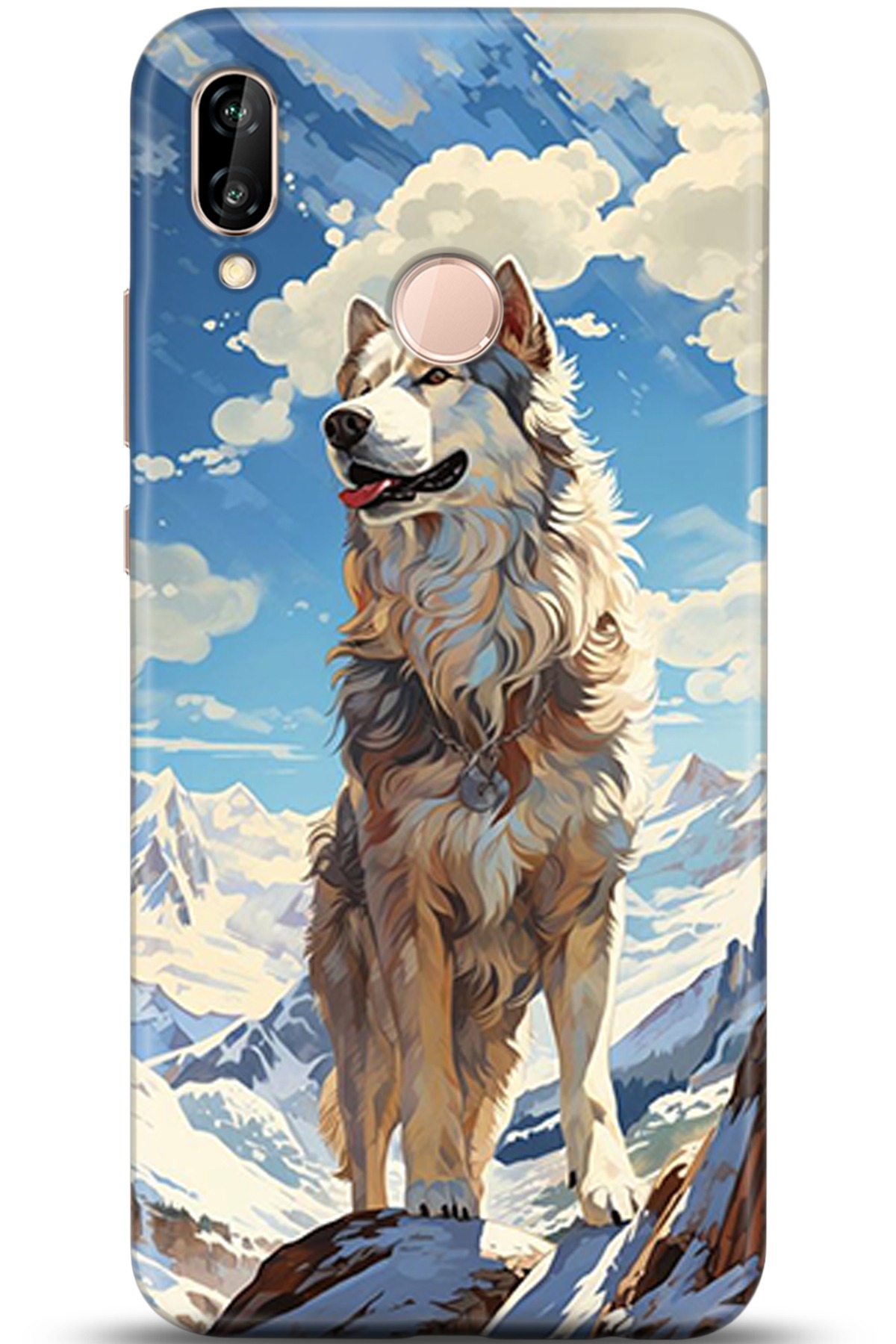 Huawei P20 Lite Uyumlu Kılıf HD Baskılı Kılıf - Followed Institution 5357