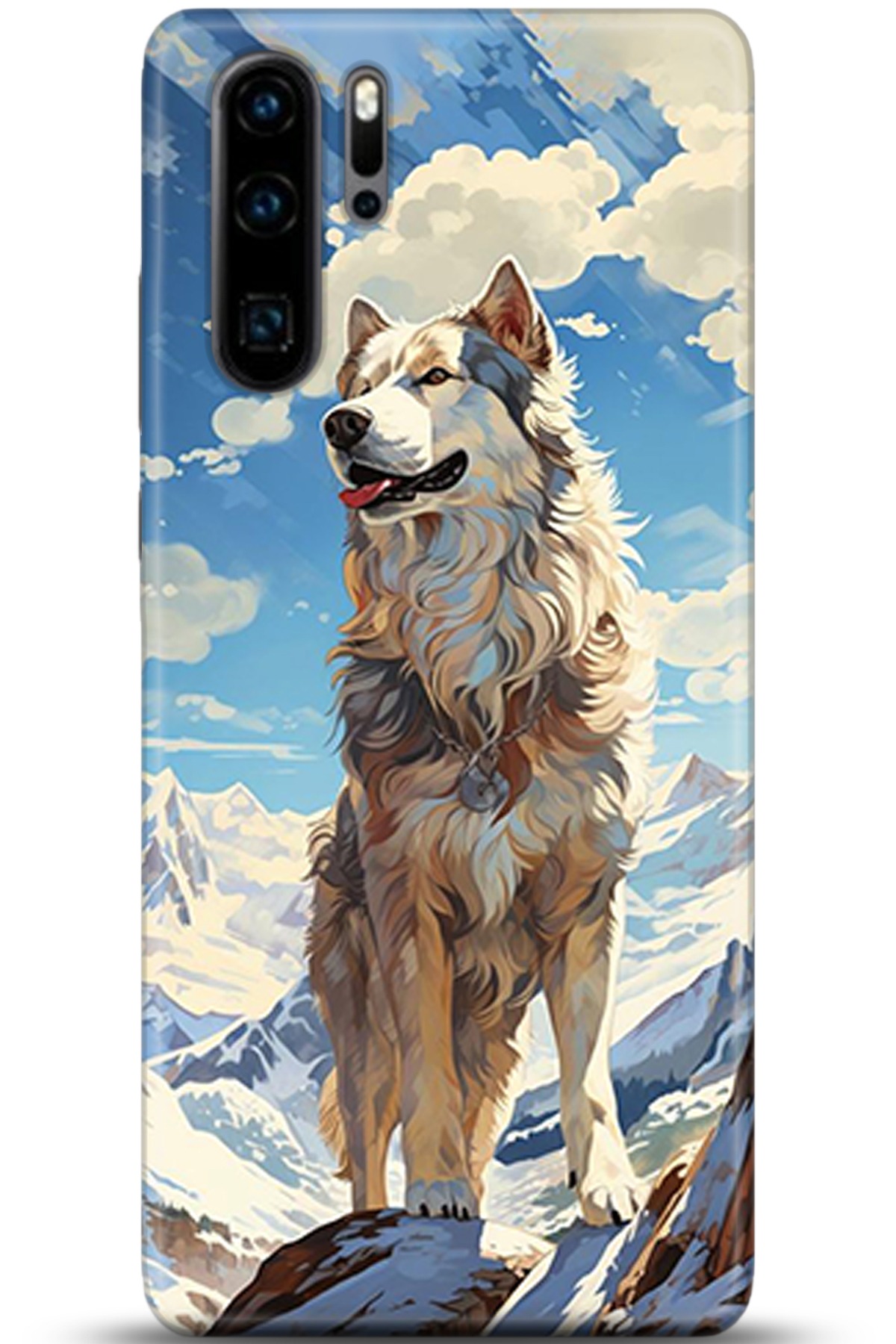 Huawei P30 Pro Uyumlu Kılıf HD Baskılı Kılıf - Followed Institution 5357