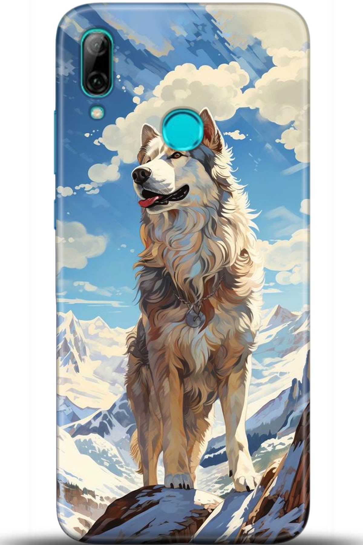 Huawei P Smart 2019 Uyumlu Kılıf HD Baskılı Kılıf - Followed Institution 5357