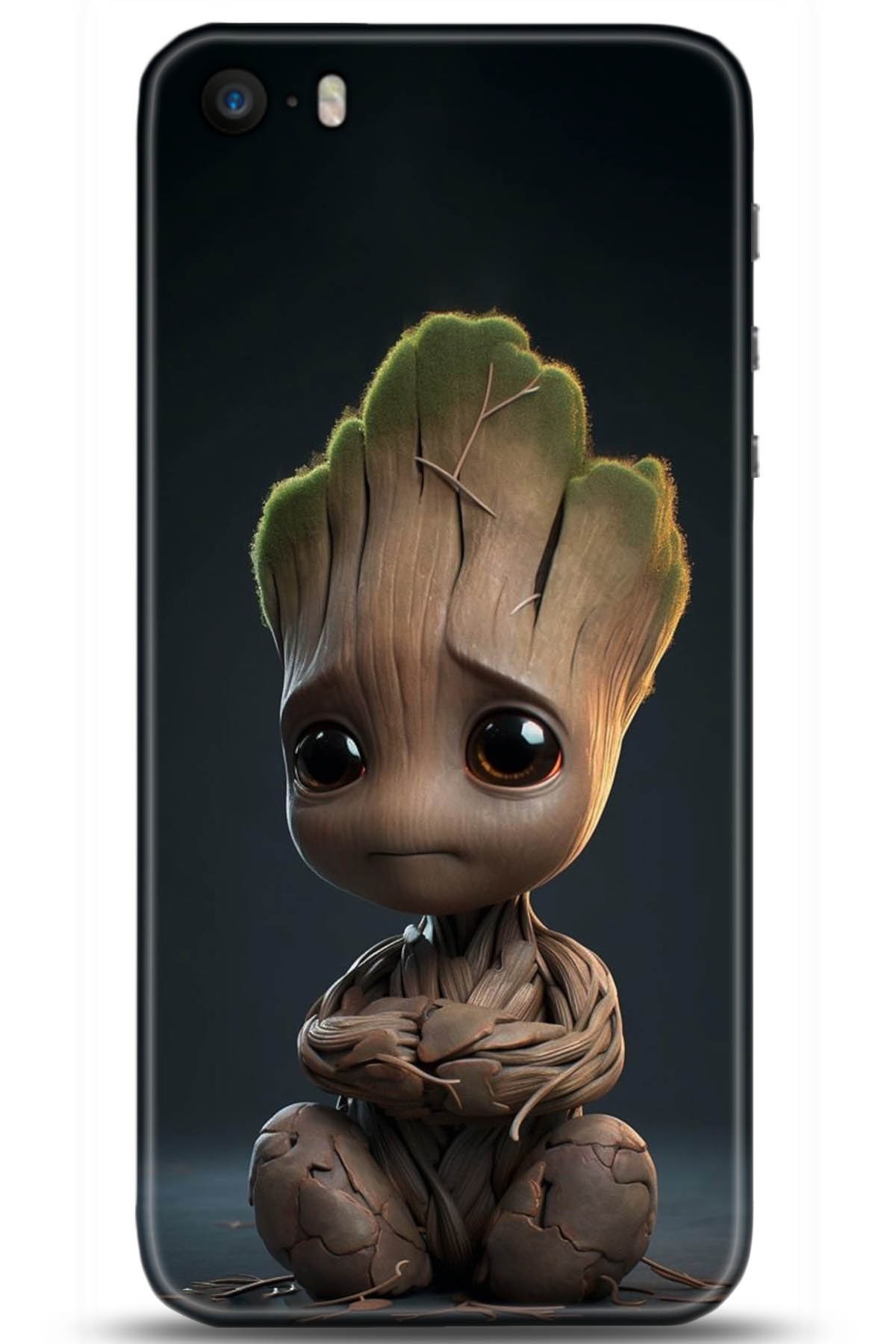 Apple iPhone 5S Uyumlu Kılıf HD Baskılı Kılıf - Followed Institution 5071