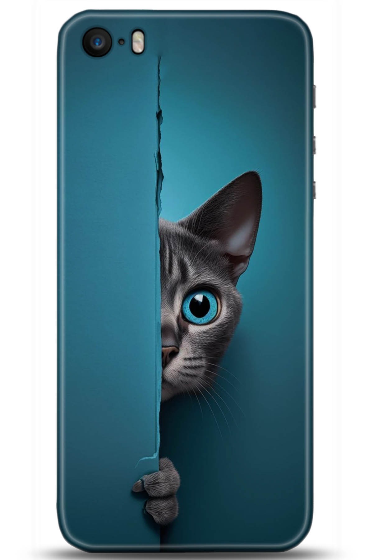 Apple iPhone 5S Uyumlu Kılıf HD Baskılı Kılıf - Followed Institution 5091