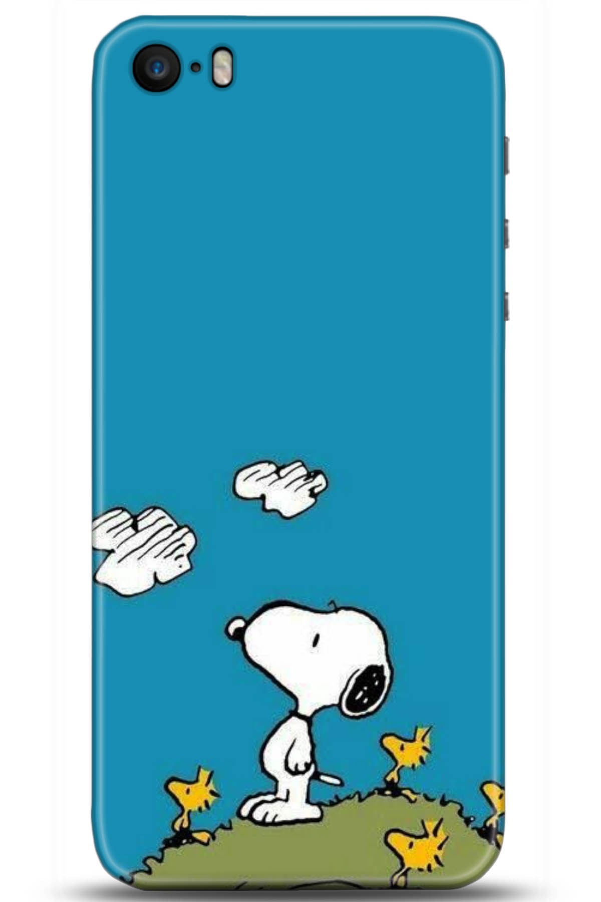 Apple iPhone 5S Uyumlu Kılıf HD Baskılı Kılıf - Followed Institution 5099