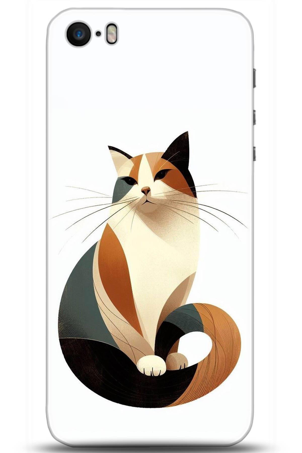 Apple iPhone 5S Uyumlu Kılıf HD Baskılı Kılıf - Followed Institution 5213