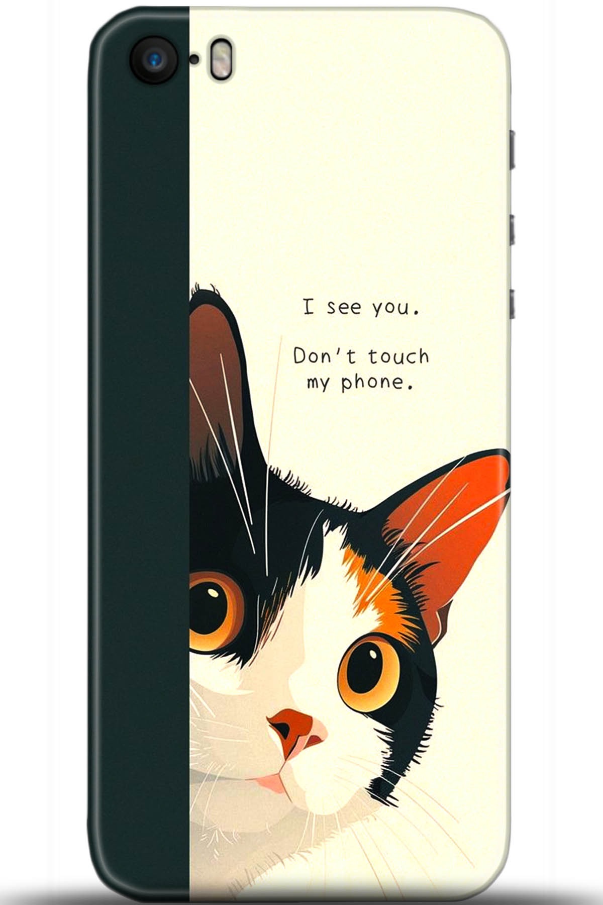 Apple iPhone 5S Uyumlu Kılıf HD Baskılı Kılıf - Followed Institution 5649