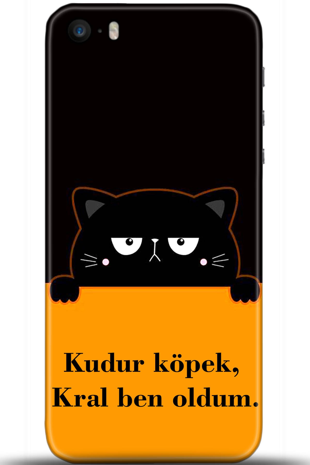 Apple iPhone 5S Uyumlu Kılıf HD Baskılı Kılıf - Followed Institution 5719