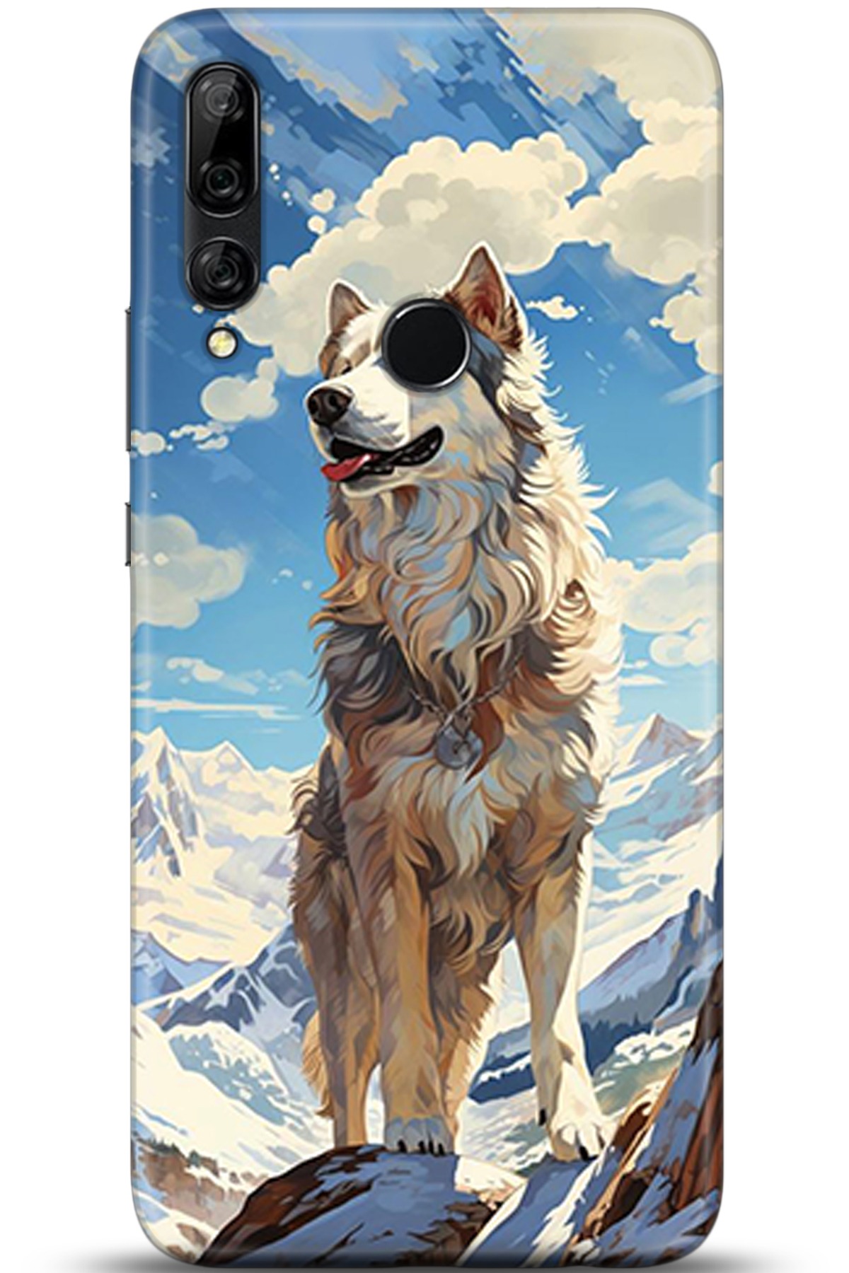 Huawei Y9 Prime 2019 Uyumlu Kılıf HD Baskılı Kılıf - Followed Institution 5357