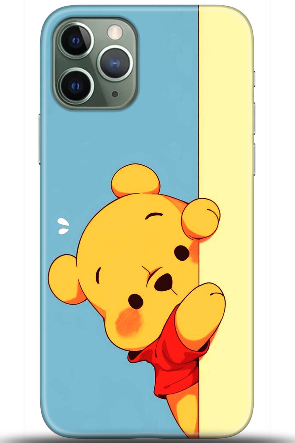 Apple iPhone 11 Pro Max Uyumlu Kılıf HD Baskılı Kılıf - Followed Institution 5648