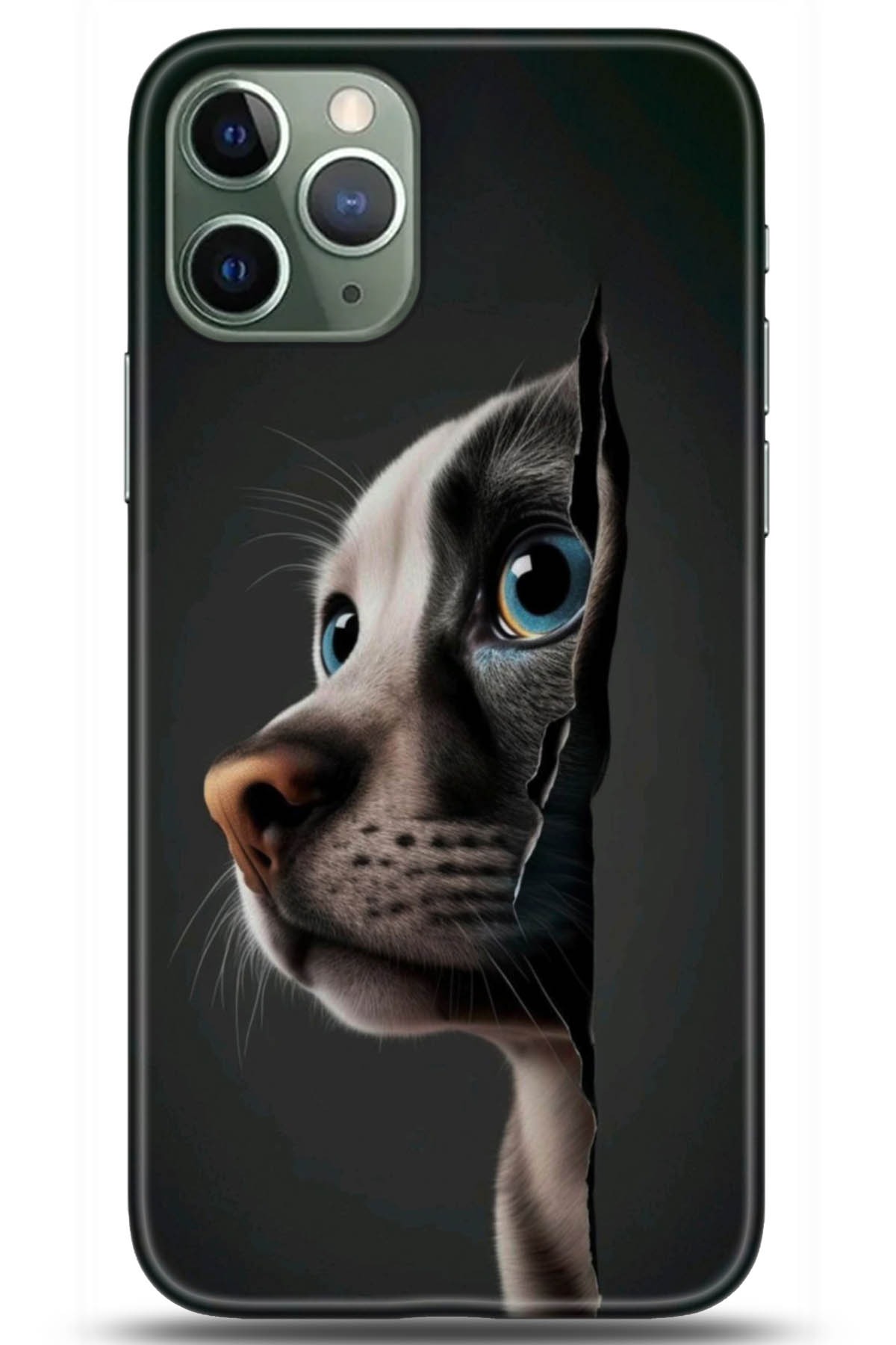 Apple iPhone 11 Pro Kılıf HD Baskılı Kılıf - Followed Institution 5108