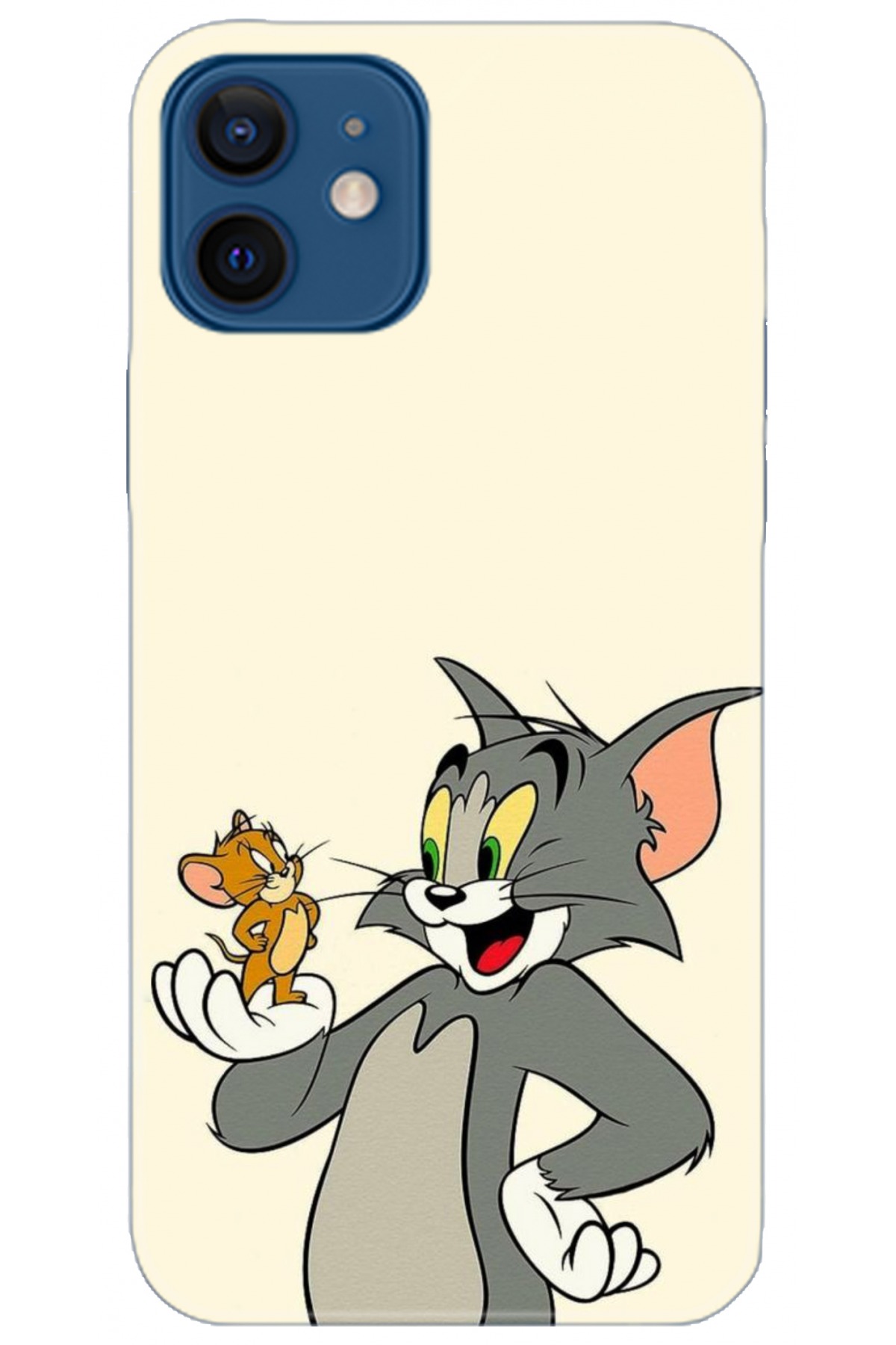 Apple iPhone 12 Mini Kılıf HD Baskılı Kılıf - Followed Institution 5030