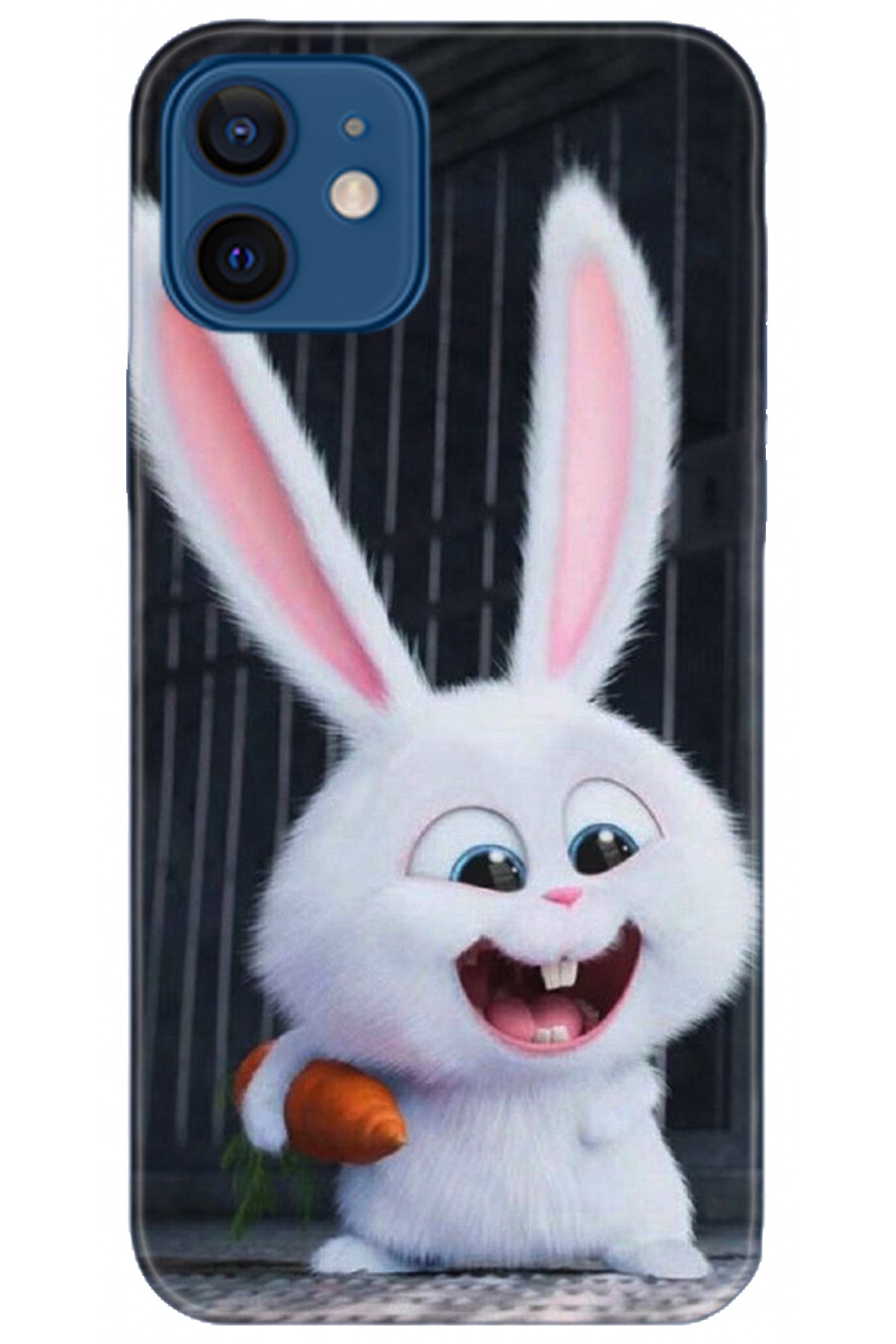 Apple iPhone 12 Mini Kılıf HD Baskılı Kılıf - Followed Institution 5048