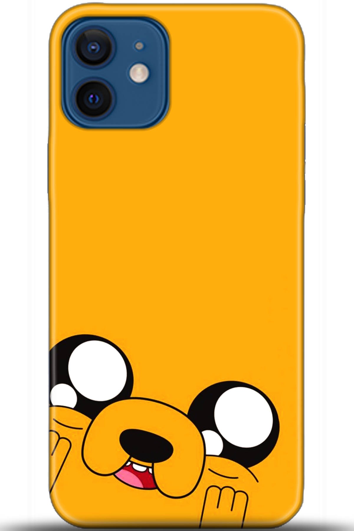 Apple iPhone 12 Mini Kılıf HD Baskılı Kılıf - Followed Institution 5531