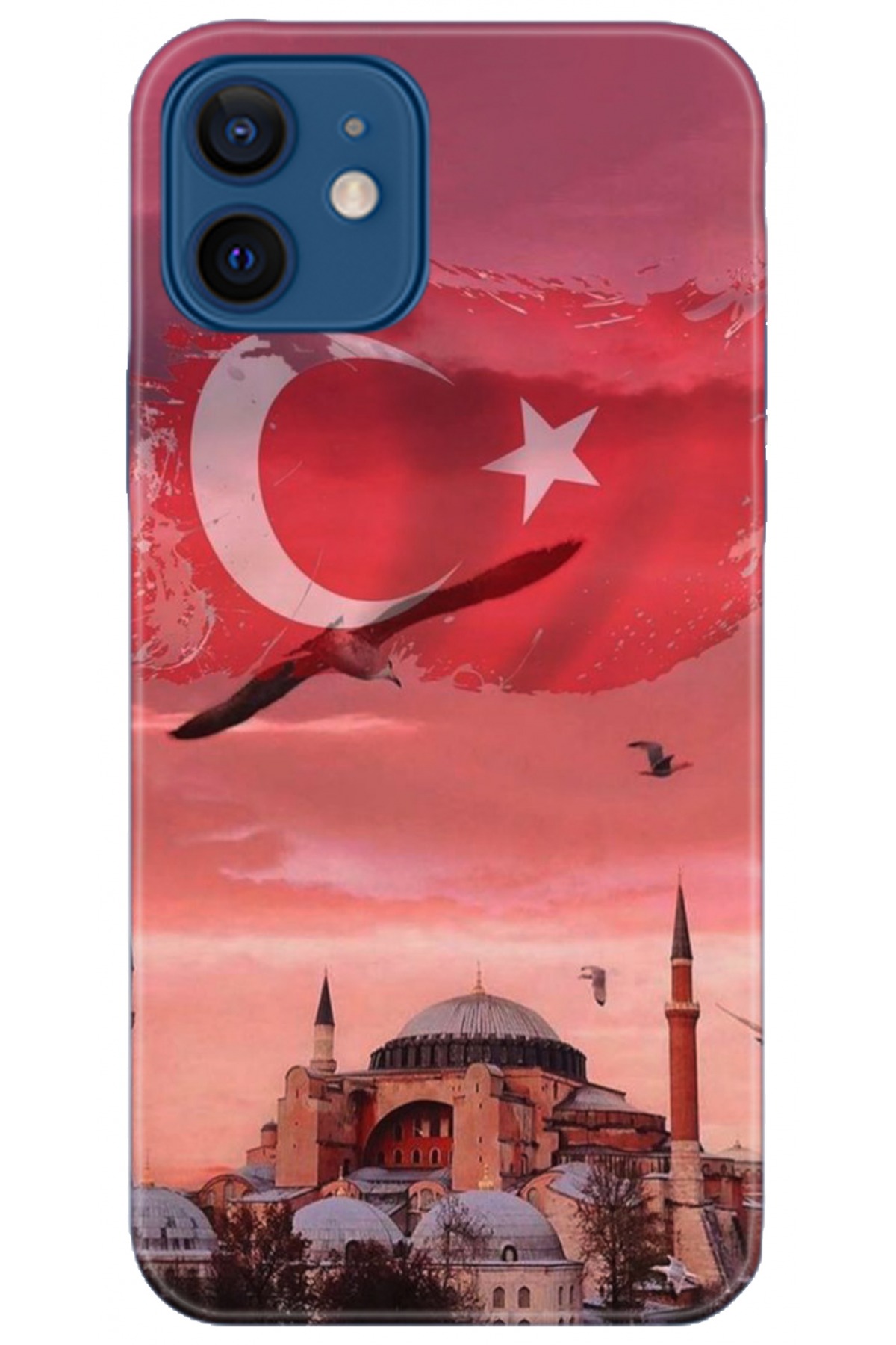 Apple iPhone 12 Mini Uyumlu Kılıf HD Baskılı Kılıf - Followed Institution 5179