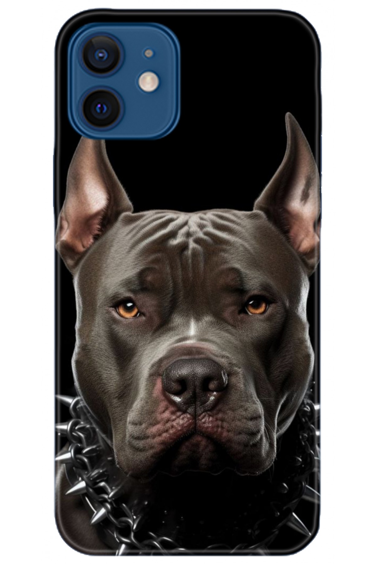 Apple iPhone 12 6.1inç Uyumlu Kılıf HD Baskılı Kılıf - Followed Institution 5104