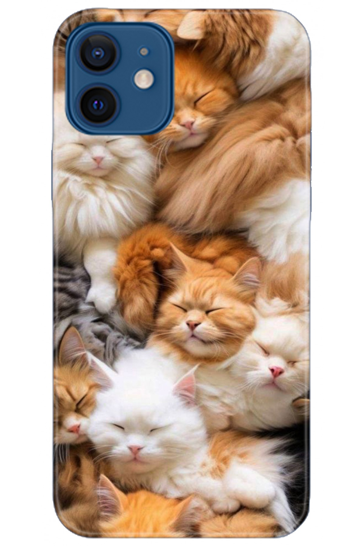 Apple iPhone 12 6.1inç Uyumlu Kılıf HD Baskılı Kılıf - Followed Institution 5234