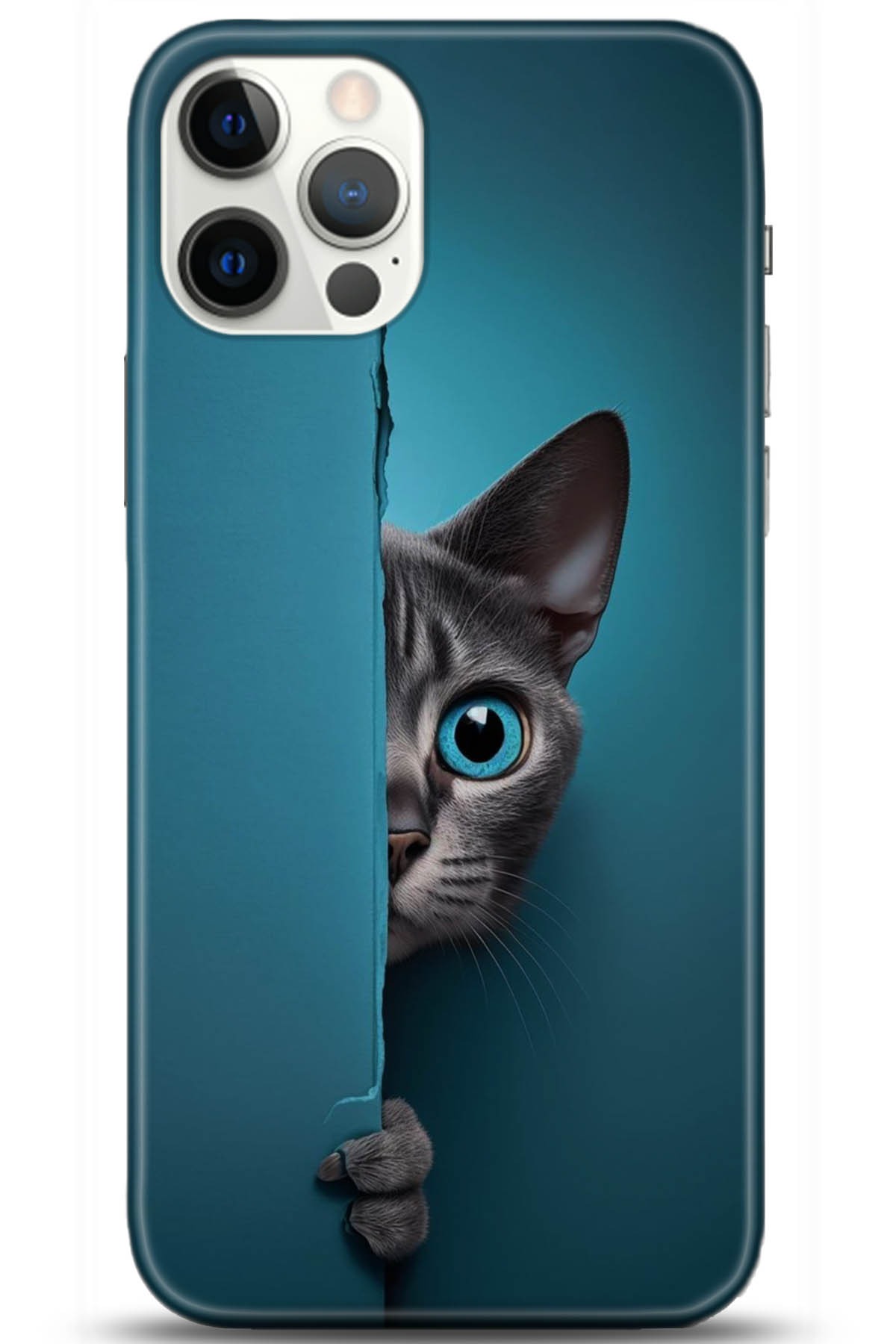 Apple iPhone 12 Pro 6.1inç Kılıf HD Baskılı Kılıf - Followed Institution 5091