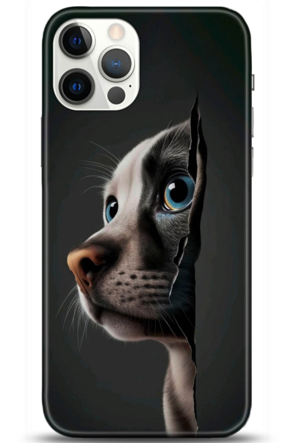 Apple iPhone 12 Pro 6.1inç Kılıf HD Baskılı Kılıf - Followed Institution 5108