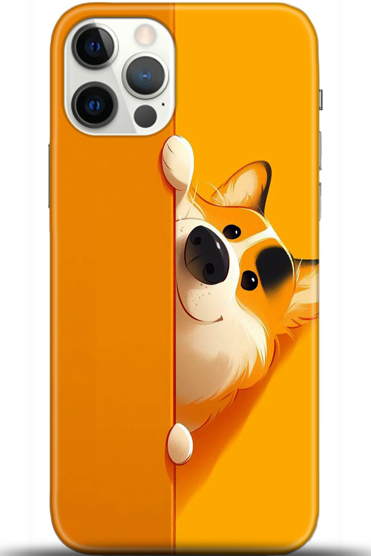 Apple iPhone 12 Pro 6.1inç Kılıf HD Baskılı Kılıf - Followed Institution 5460