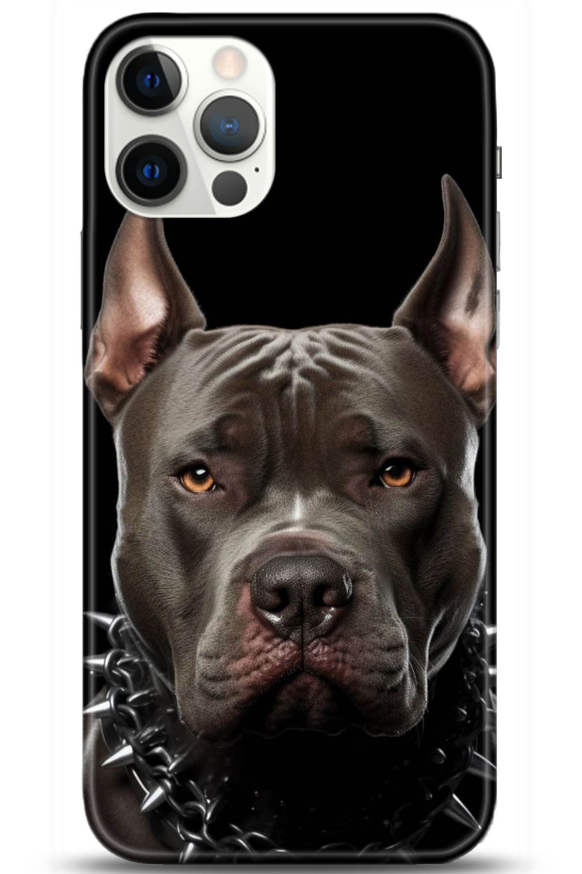 Apple iPhone 12 Pro 6.1inç Uyumlu Kılıf HD Baskılı Kılıf - Followed Institution 5104