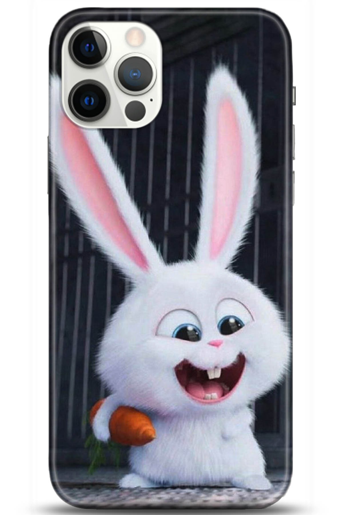 Apple iPhone 12 Pro Max 6.7inç Kılıf HD Baskılı Kılıf - Followed Institution 5048