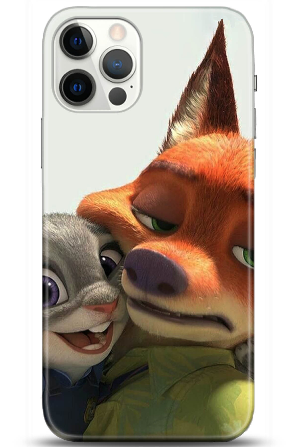 Apple iPhone 12 Pro Max 6.7inç Kılıf HD Baskılı Kılıf - Followed Institution 5115