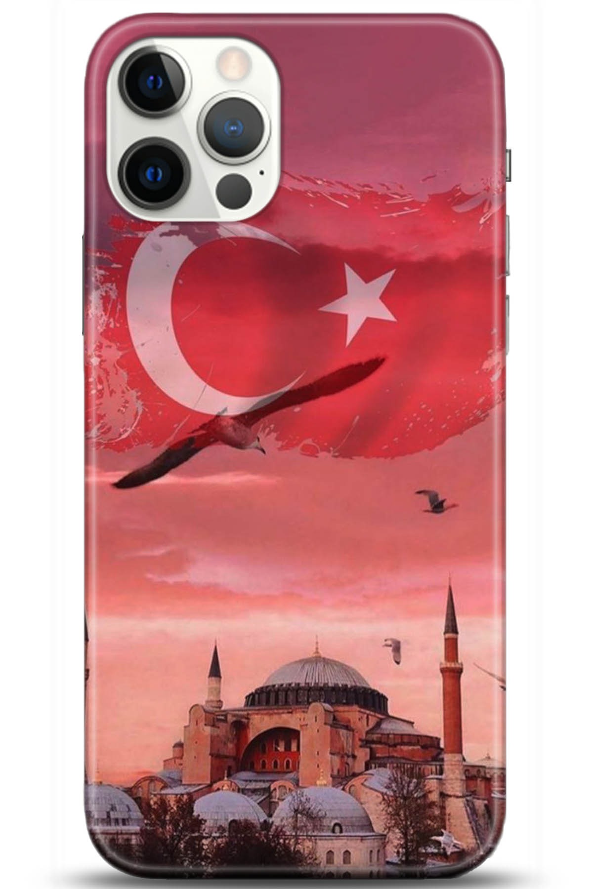 Apple iPhone 12 Pro Max 6.7inç Kılıf HD Baskılı Kılıf - Followed Institution 5179