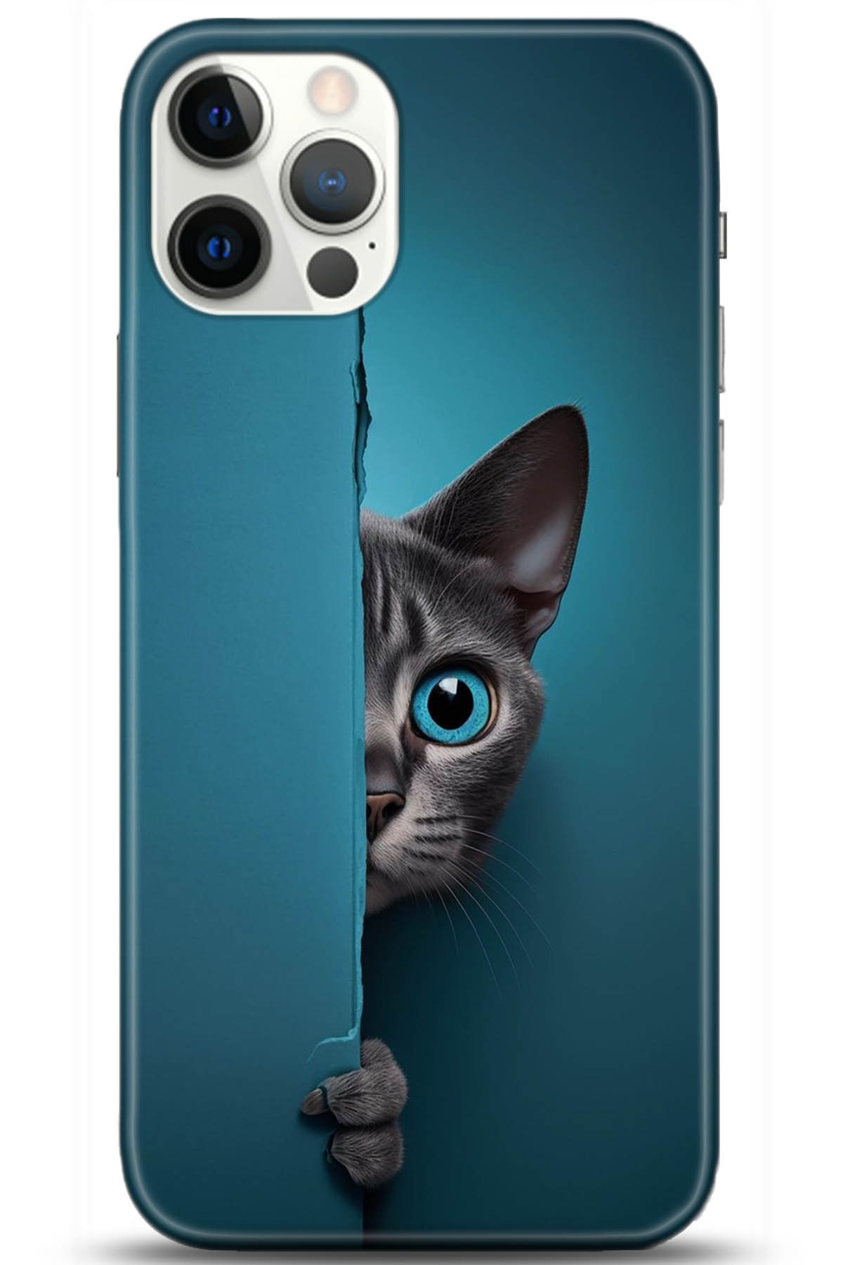 Apple iPhone 12 Pro Max 6.7inç Kılıf HD Baskılı Kılıf - Followed Institution 5204