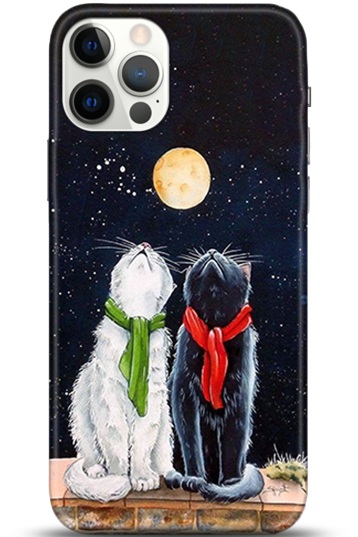 Apple iPhone 12 Pro Max 6.7inç Kılıf HD Baskılı Kılıf - Followed Institution 5318