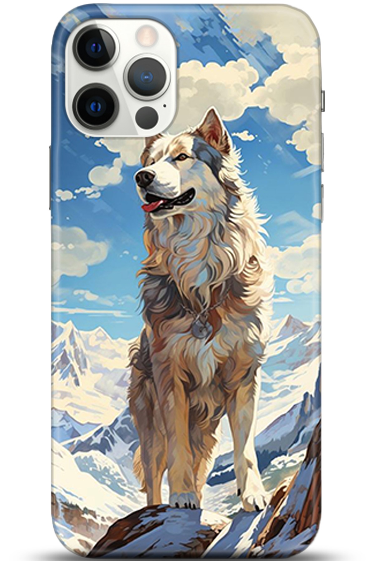 Apple iPhone 12 Pro Max 6.7inç Kılıf HD Baskılı Kılıf - Followed Institution 5357