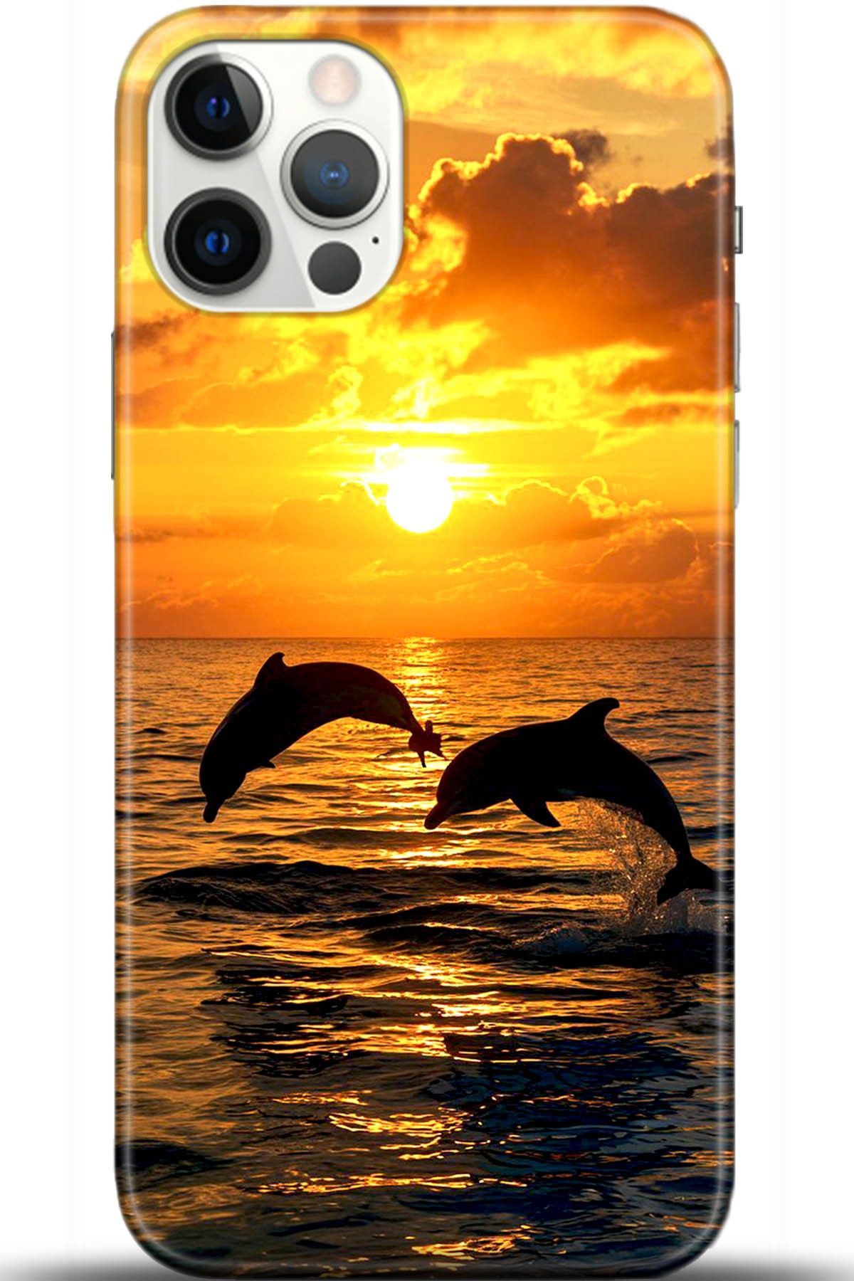 Apple iPhone 12 Pro Max 6.7inç Kılıf HD Baskılı Kılıf - Followed Institution 5427