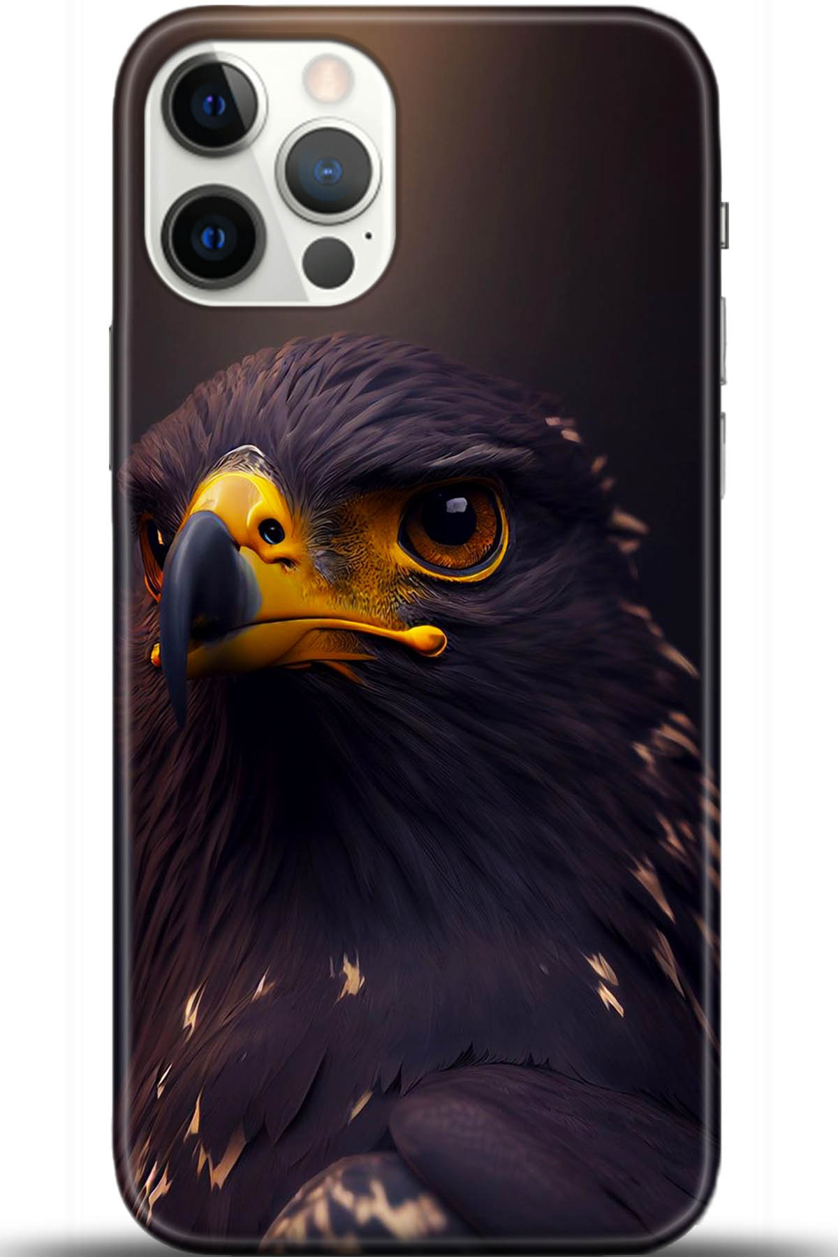 Apple iPhone 12 Pro Max 6.7inç Kılıf HD Baskılı Kılıf - Followed Institution 5467