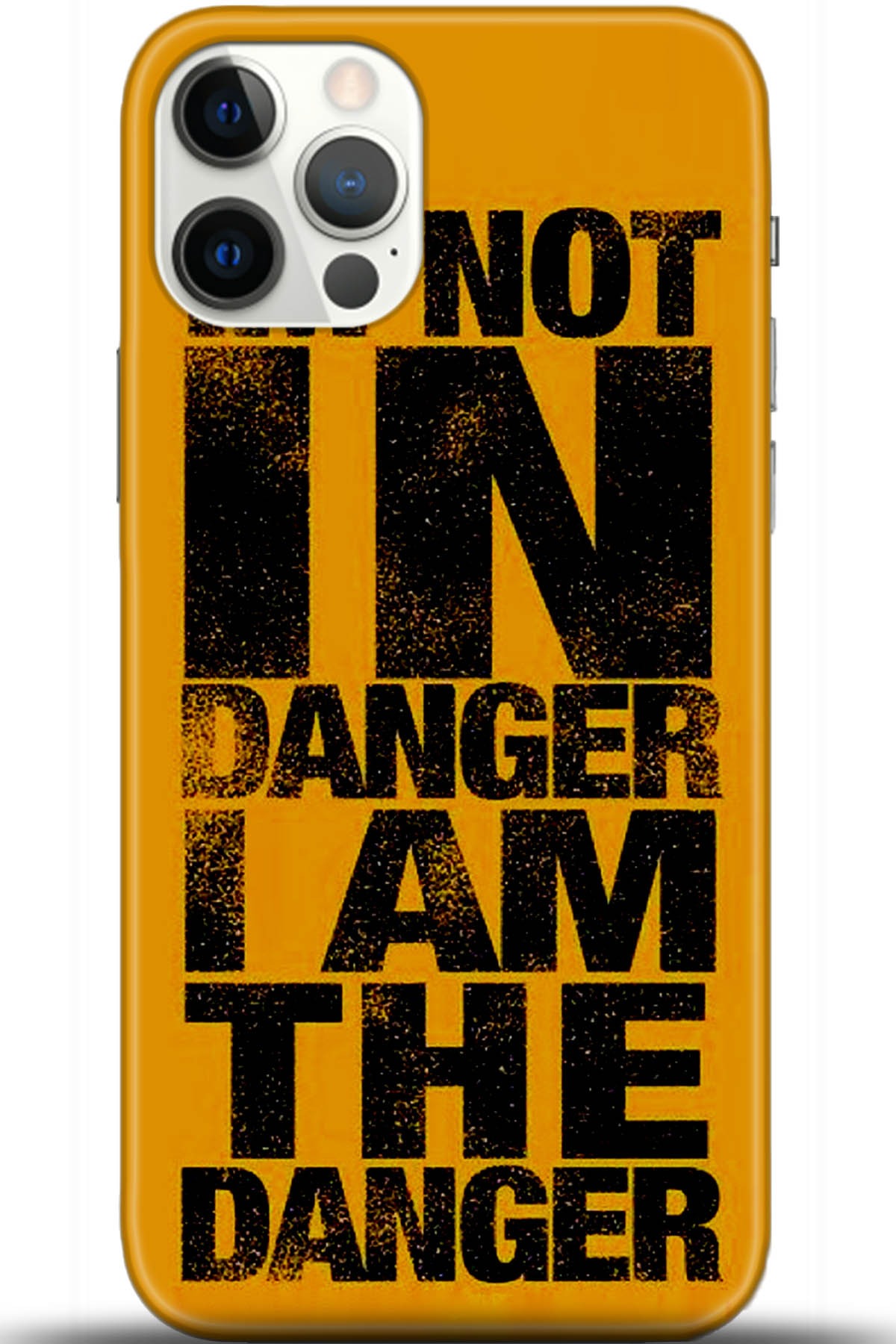 Apple iPhone 12 Pro Max 6.7inç Kılıf HD Baskılı Kılıf - Followed Institution 5492