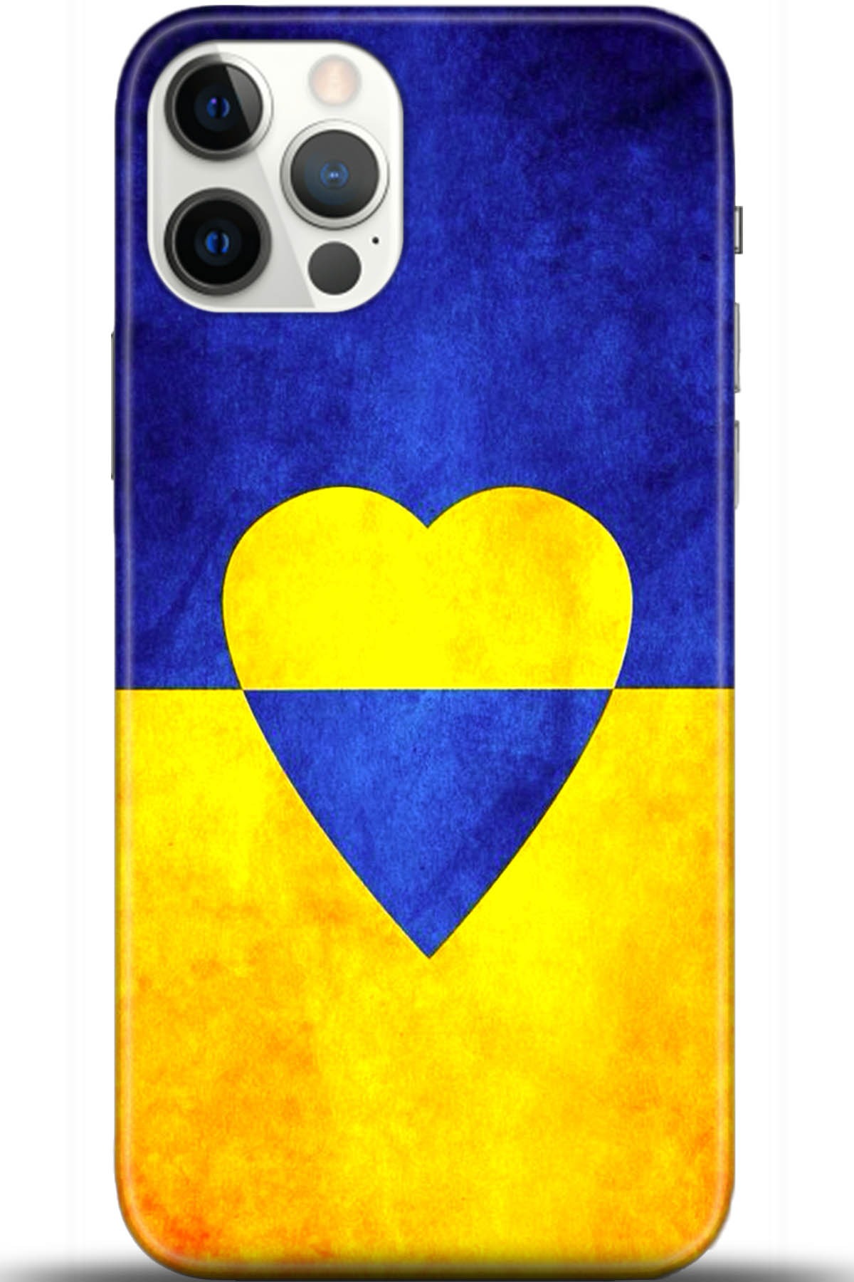 Apple iPhone 12 Pro Max 6.7inç Kılıf HD Baskılı Kılıf - Followed Institution 5581