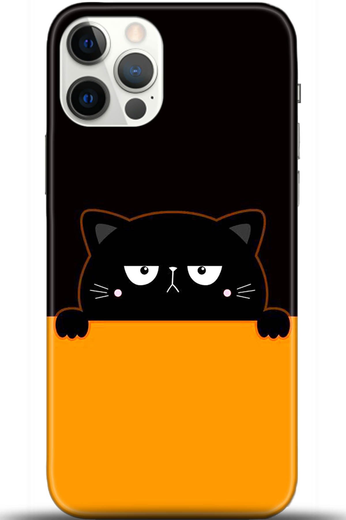 Apple iPhone 12 Pro Max 6.7inç Kılıf HD Baskılı Kılıf - Followed Institution 5717