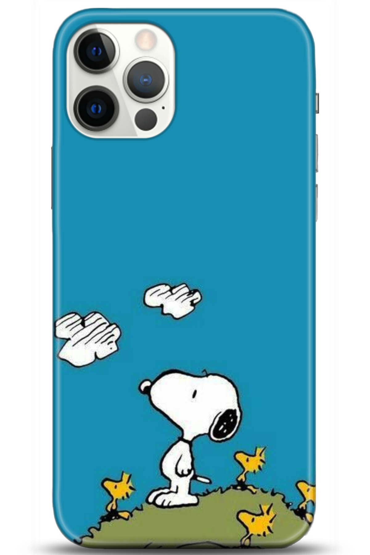 Apple iPhone 12 Pro Max 6.7inç Uyumlu Kılıf HD Baskılı Kılıf - Followed Institution 5099