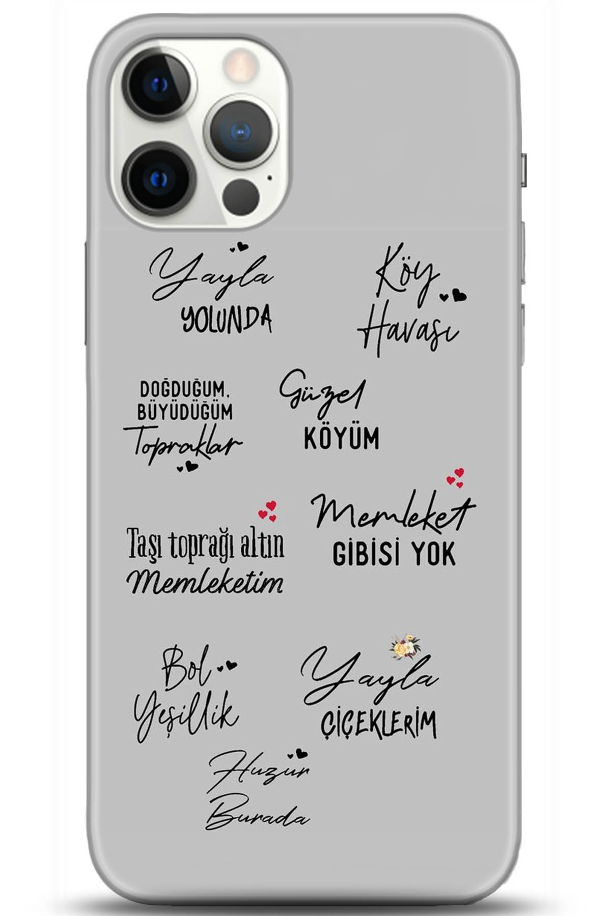 Apple iPhone 12 Pro Max 6.7inç Uyumlu Kılıf HD Baskılı Kılıf - Followed Institution 5210