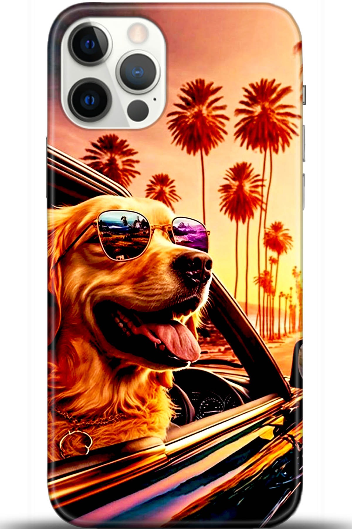 Apple iPhone 12 Pro Max 6.7inç Uyumlu Kılıf HD Baskılı Kılıf - Followed Institution 5421