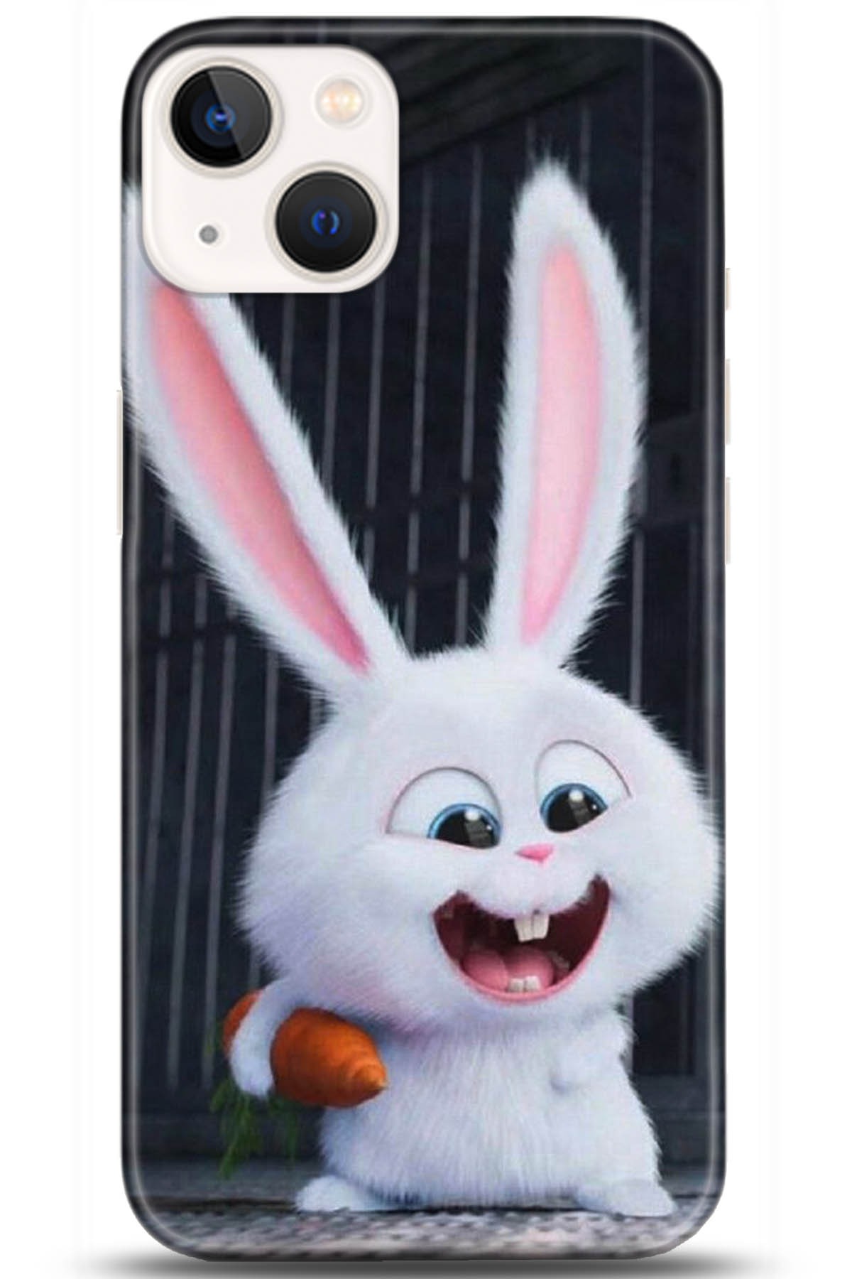 Apple iPhone 13 Uyumlu Kılıf HD Baskılı Kılıf - Followed Institution 5048