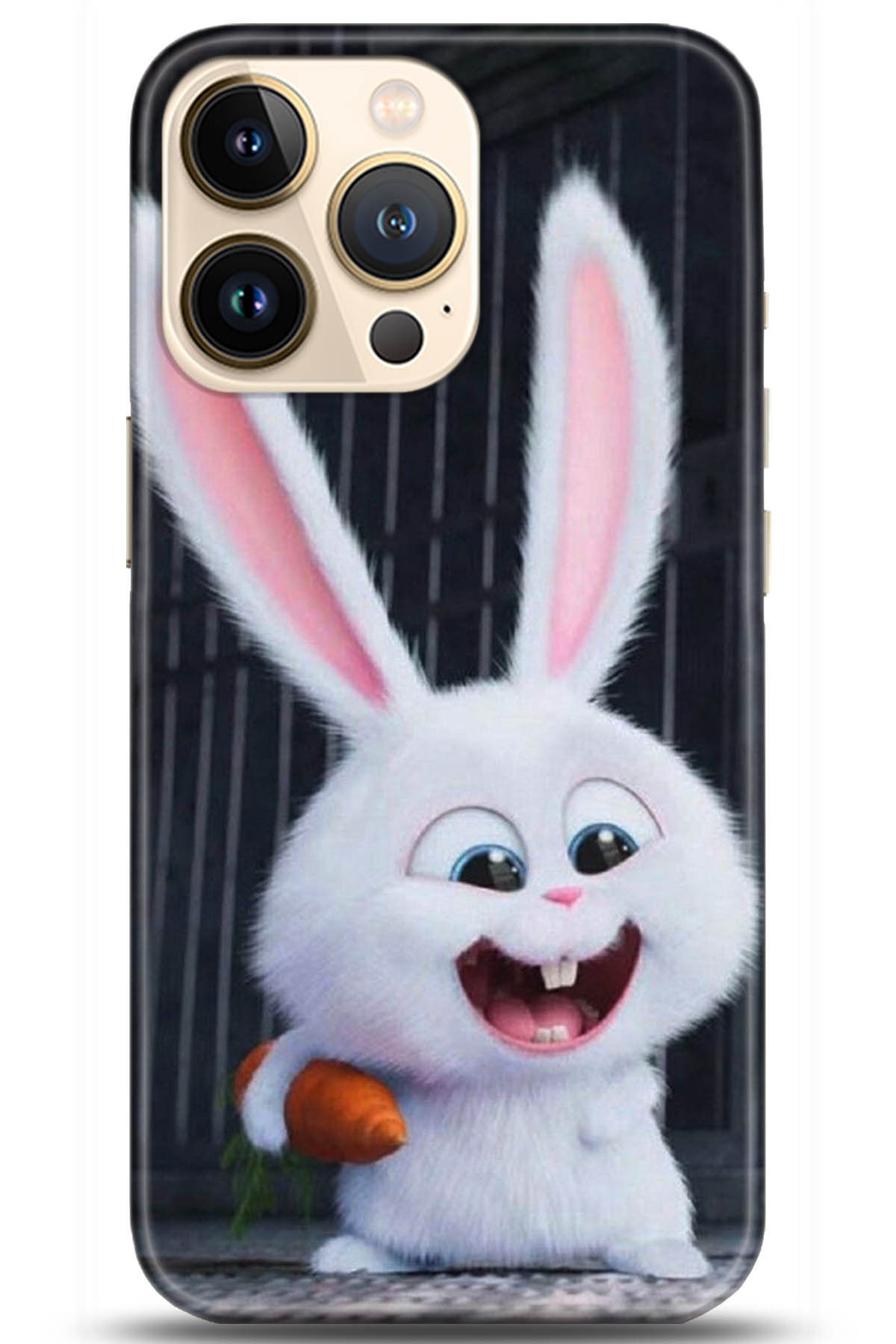 Apple iPhone 13 Pro Kılıf HD Baskılı Kılıf - Followed Institution 5048