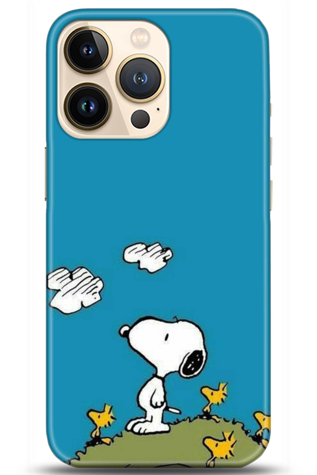 Apple iPhone 13 Pro Kılıf HD Baskılı Kılıf - Followed Institution 5099