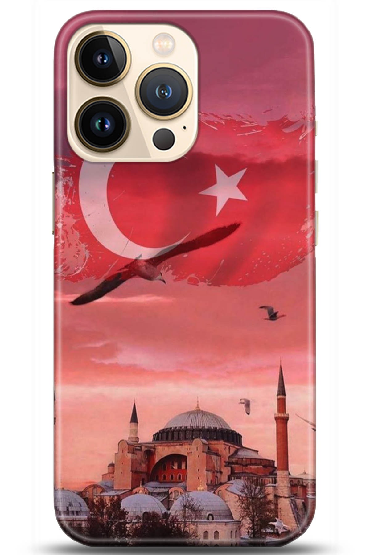 Apple iPhone 13 Pro Kılıf HD Baskılı Kılıf - Followed Institution 5179