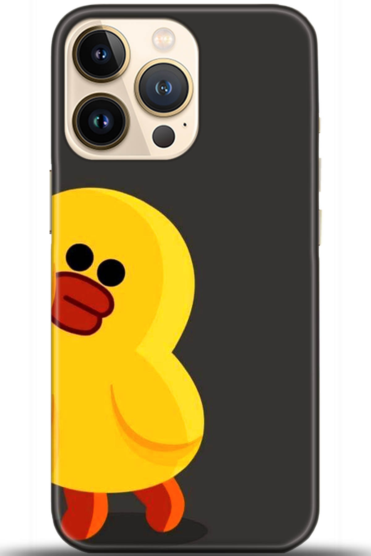 Apple iPhone 13 Pro Kılıf HD Baskılı Kılıf - Followed Institution 5519