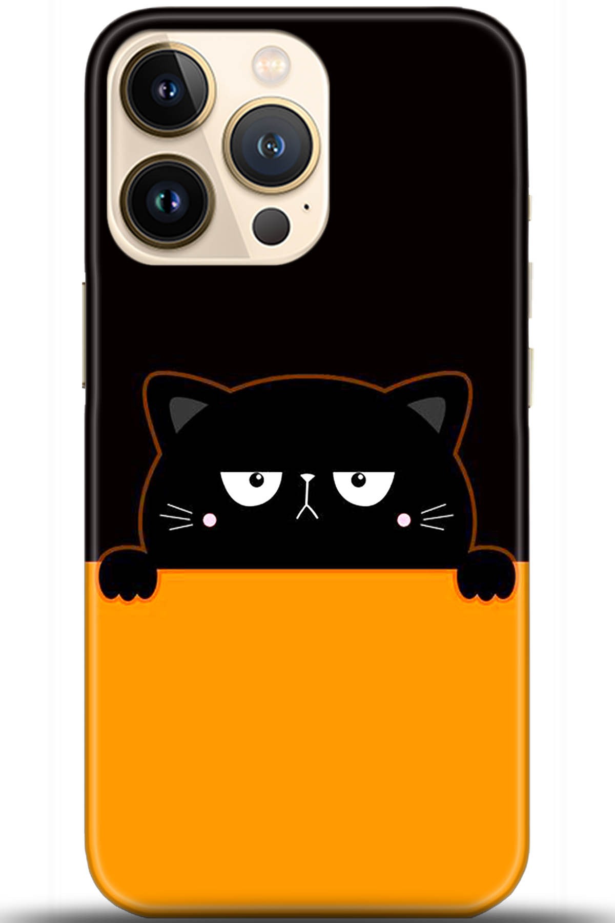 Apple iPhone 13 Pro Uyumlu Kılıf HD Baskılı Kılıf - Followed Institution 5717