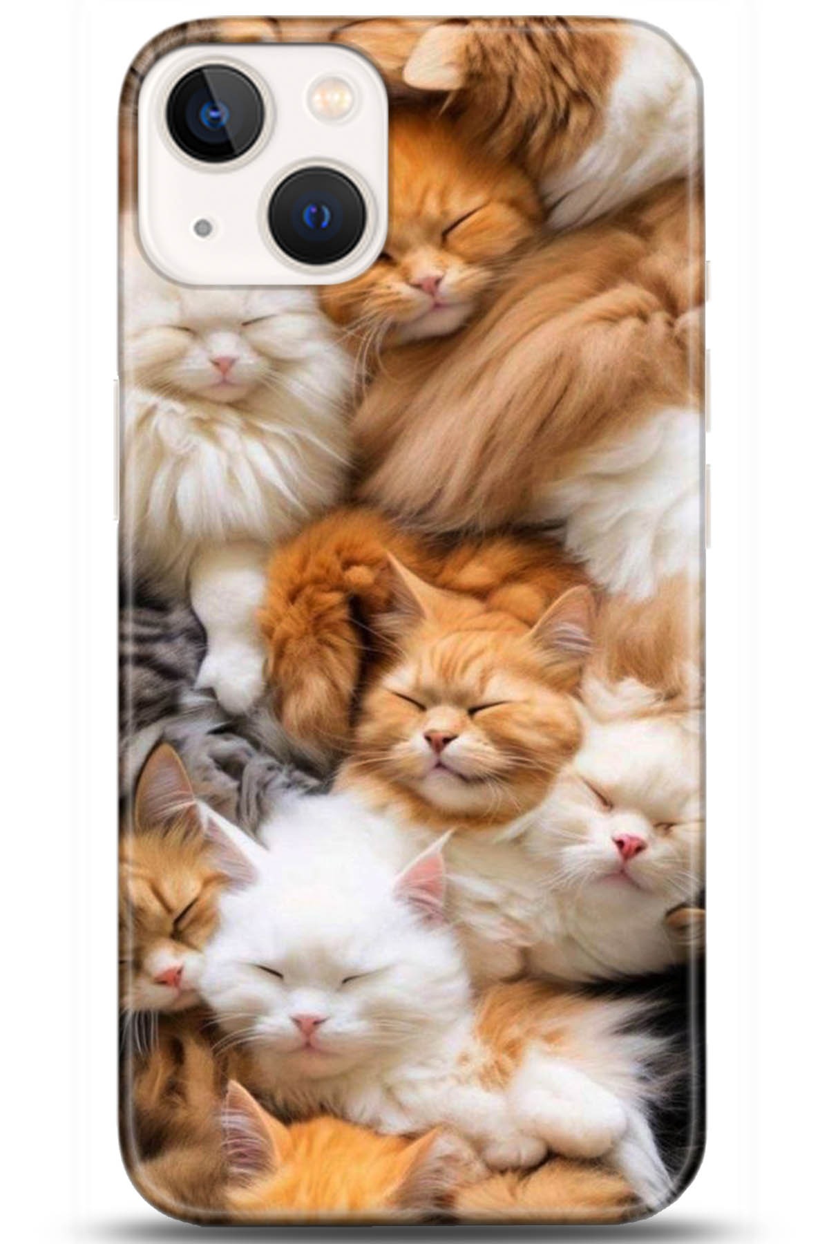 Apple iPhone 13 Mini Kılıf HD Baskılı Kılıf - Followed Institution 5234