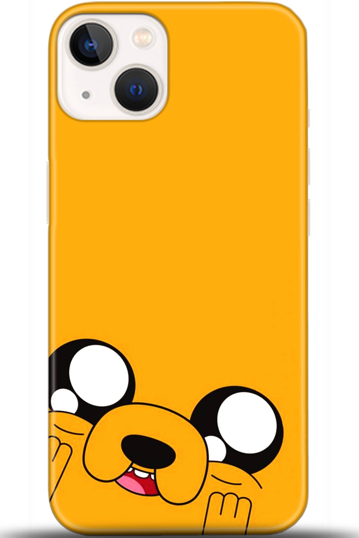 Apple iPhone 13 Mini Kılıf HD Baskılı Kılıf - Followed Institution 5531