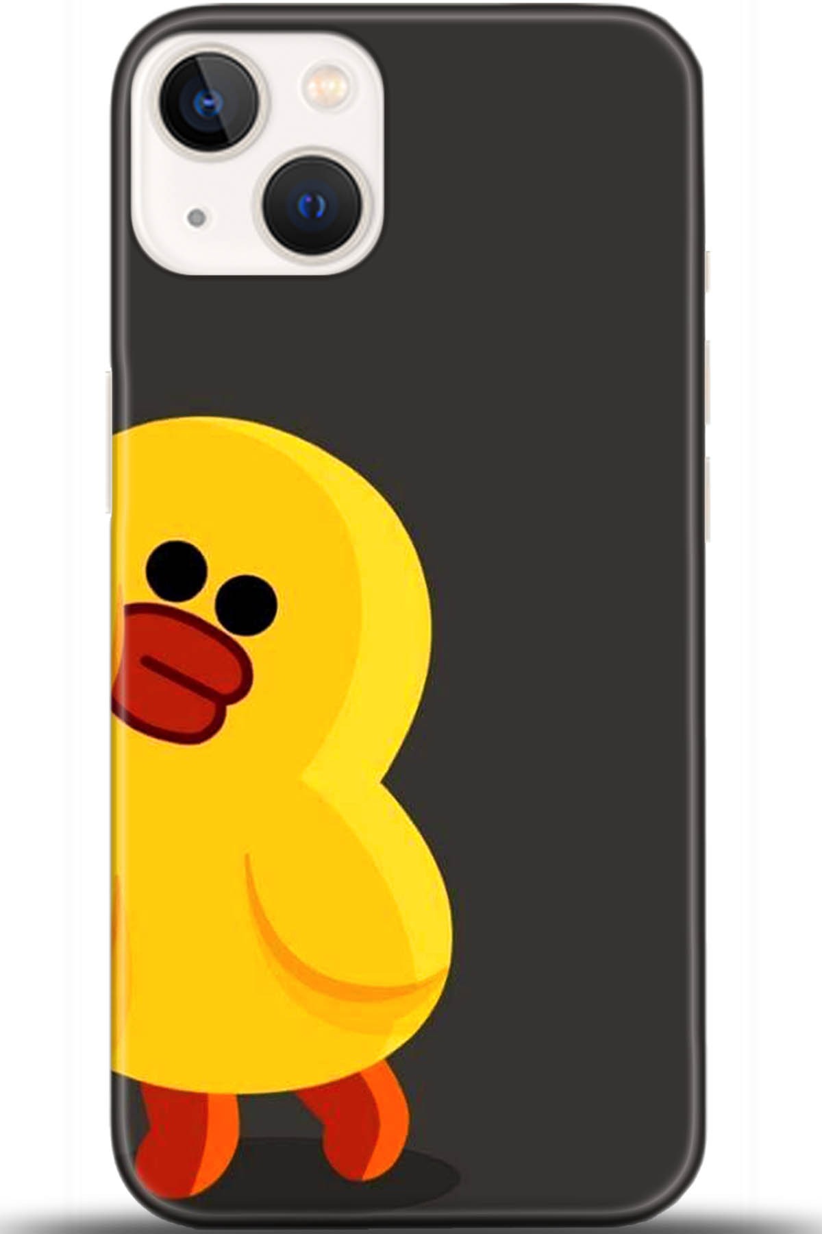 Apple iPhone 13 Mini Uyumlu Kılıf HD Baskılı Kılıf - Followed Institution 5519