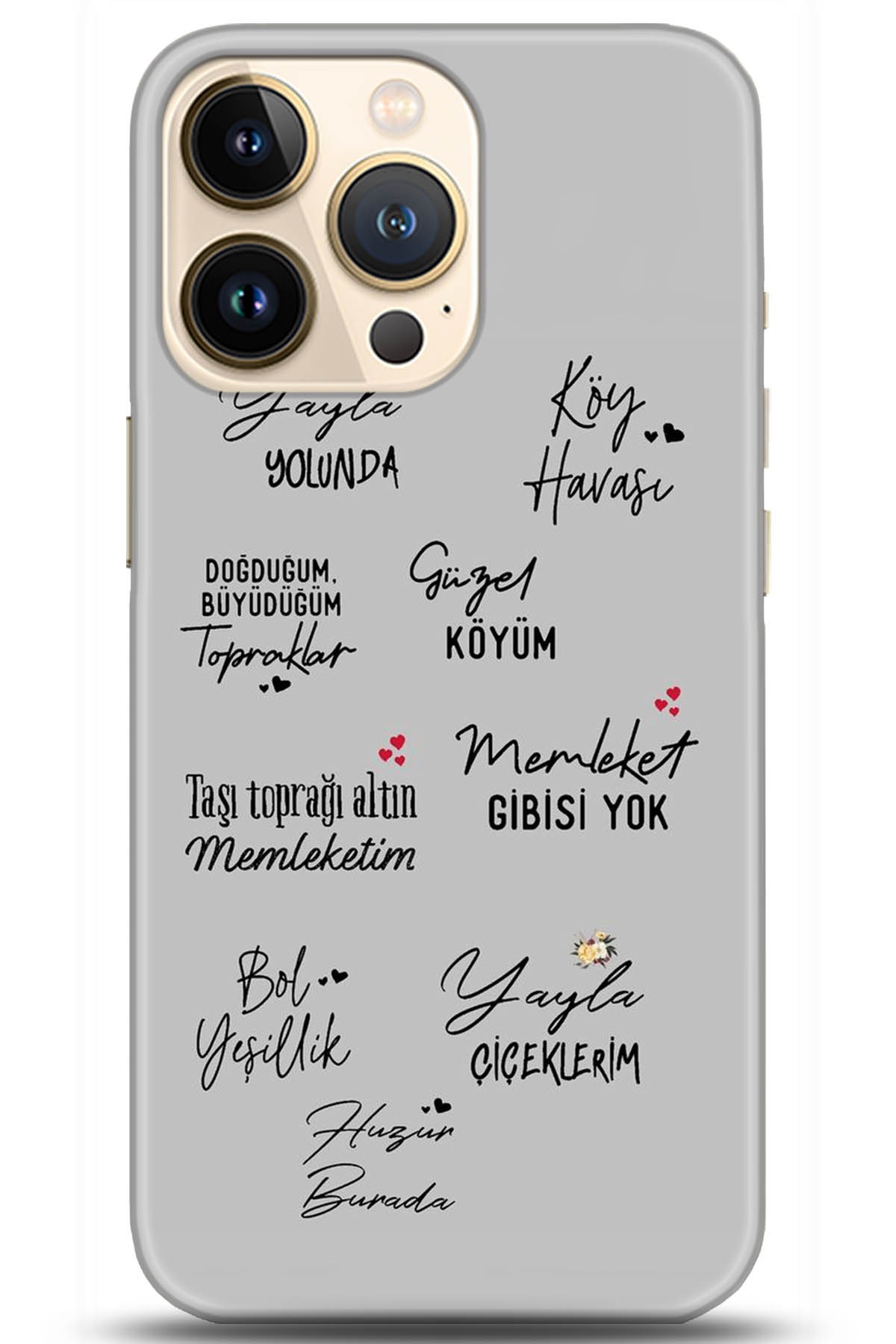 Apple iPhone 13 Pro Max Kılıf HD Baskılı Kılıf - Followed Institution 5210