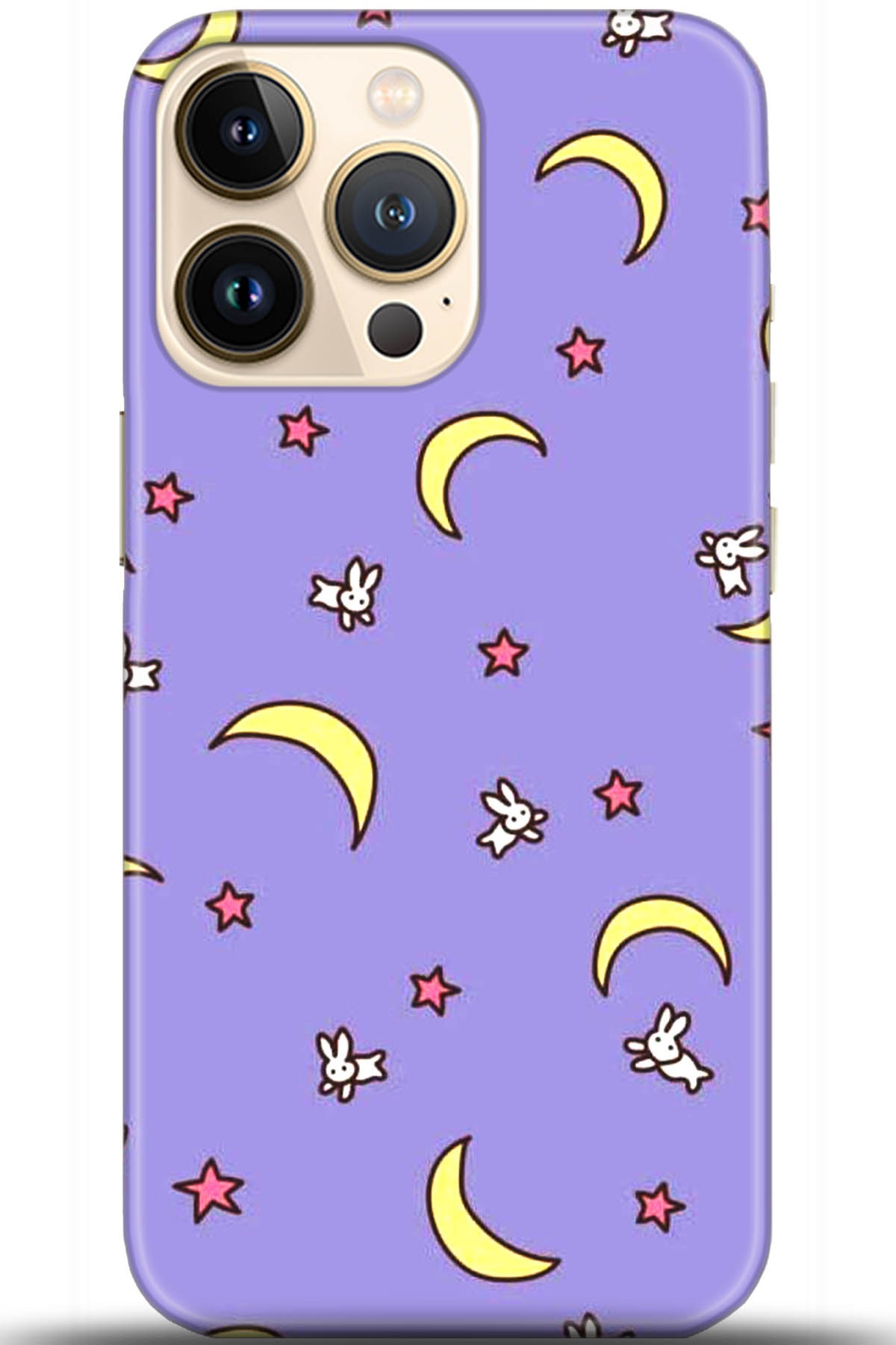 Apple iPhone 13 Pro Max Kılıf HD Baskılı Kılıf - Followed Institution 5523